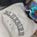 Bluebird Ski Collegiate Sweater